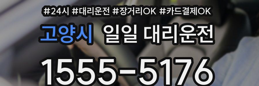 고양시 일일 대리운전