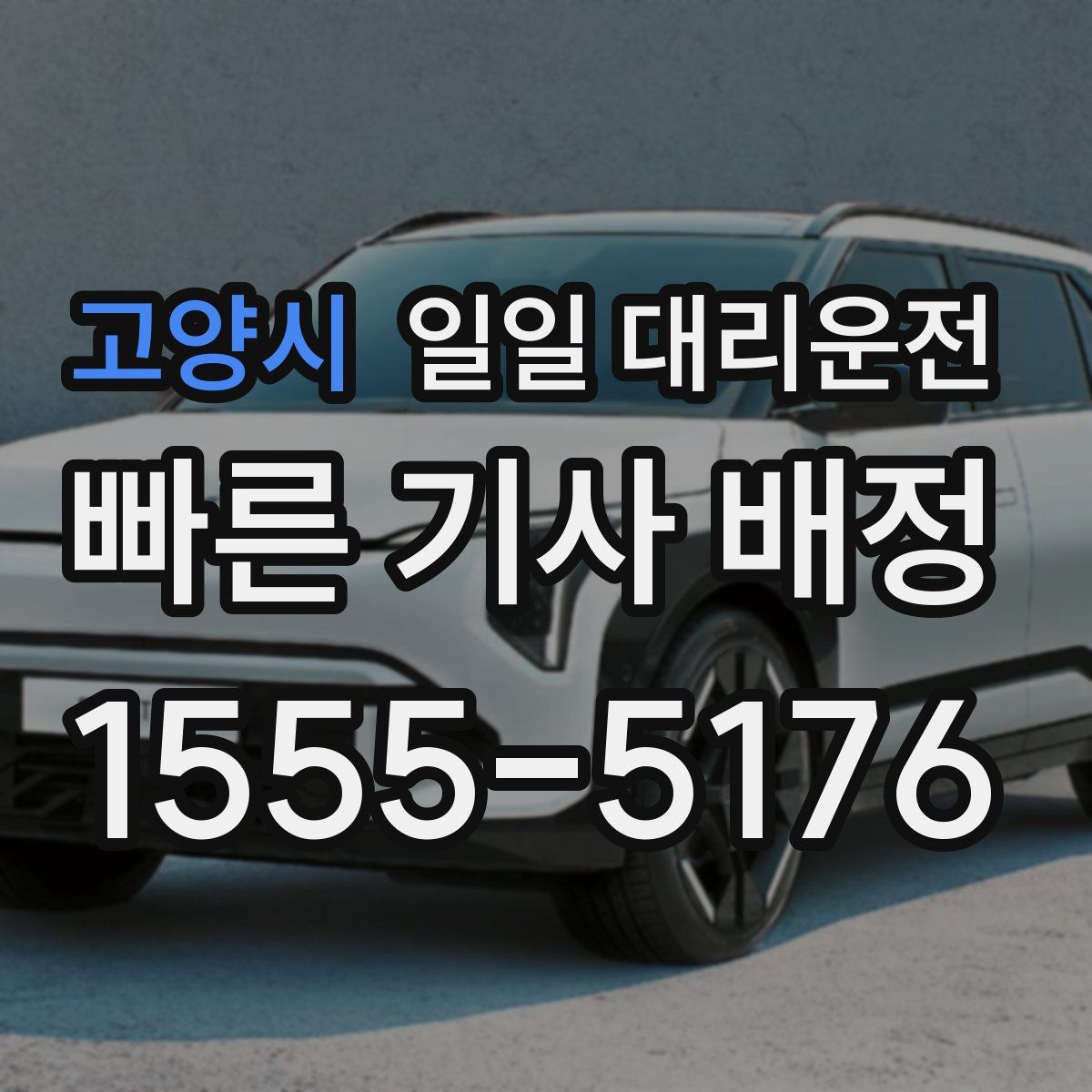 고양시 일일 대리운전