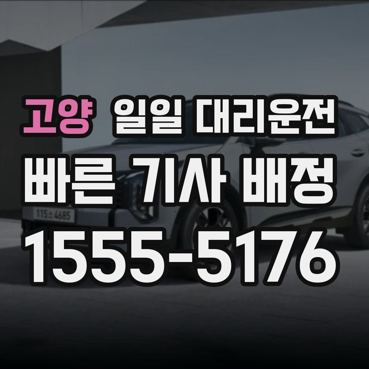 고양 일일 대리운전