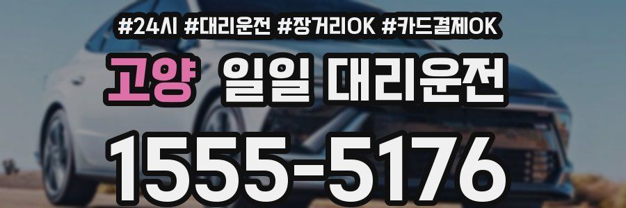고양 일일 대리운전