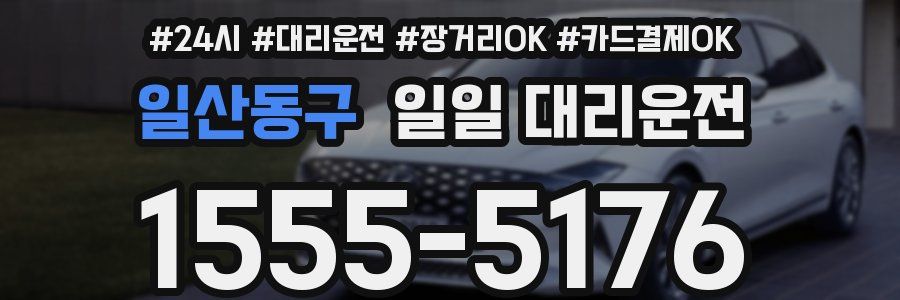 일산동구 일일 대리운전