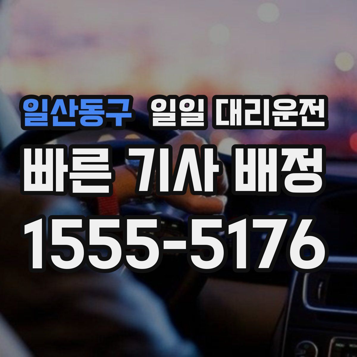 일산동구 일일 대리운전