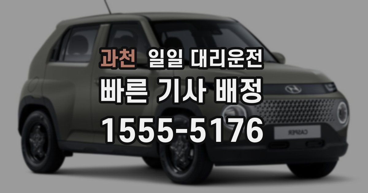 과천 일일 대리운전
