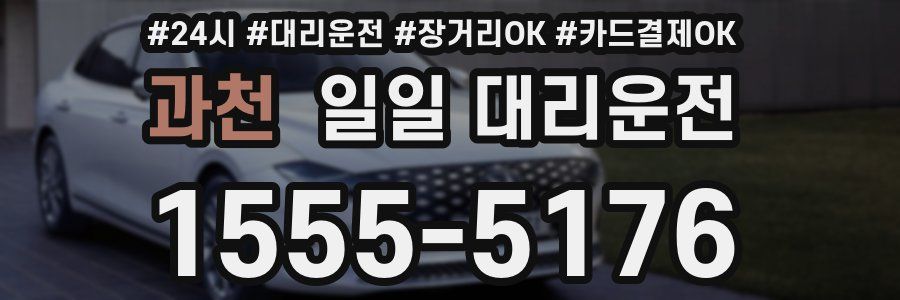 과천 일일 대리운전