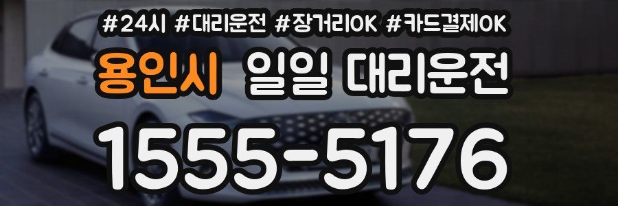 용인시 일일 대리운전