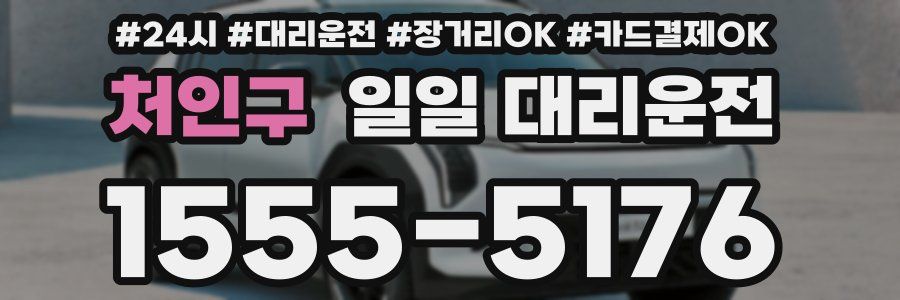 처인구 일일 대리운전