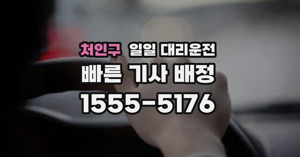 처인구 일일 대리운전
