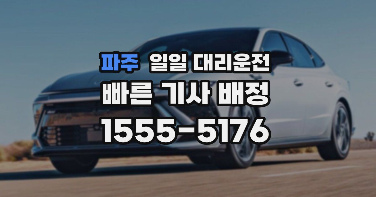파주 일일 대리운전
