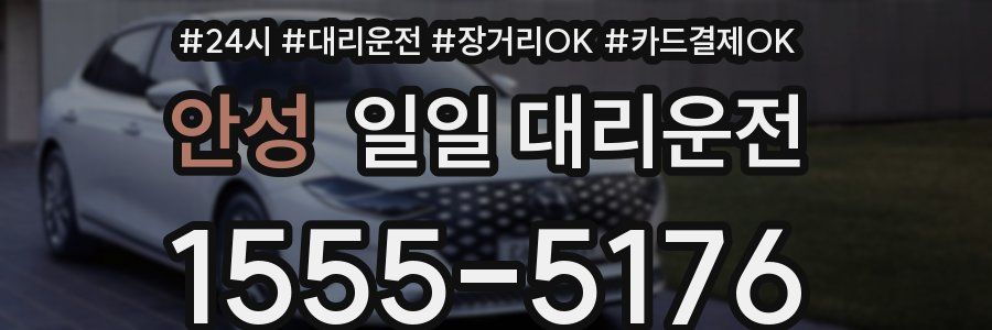 안성 일일 대리운전