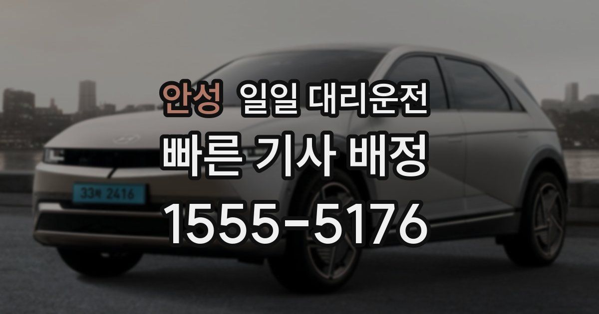 안성 일일 대리운전