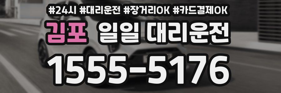 김포 일일 대리운전