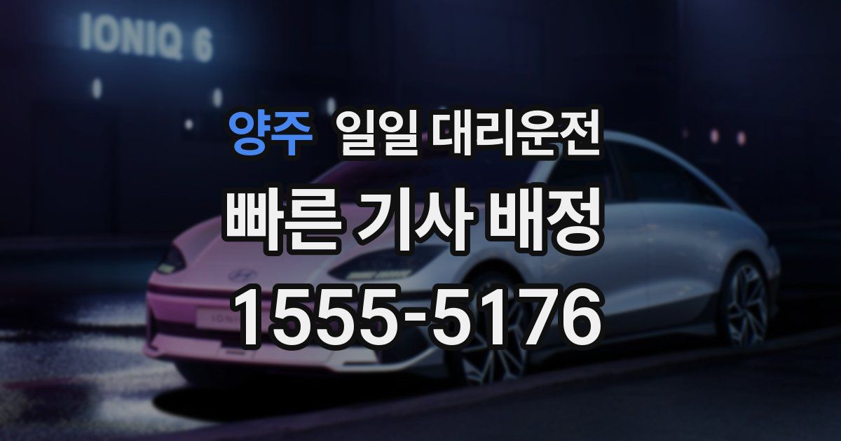 양주 일일 대리운전