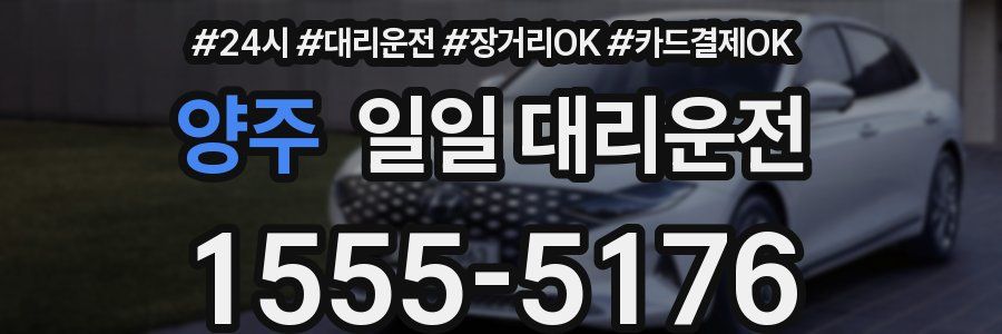 양주 일일 대리운전