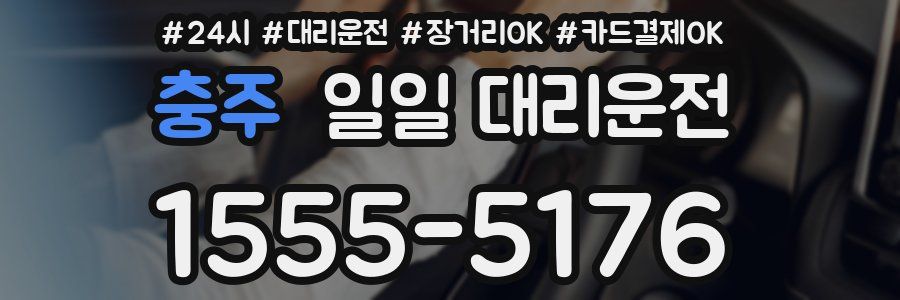 충주 일일 대리운전