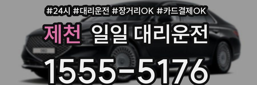 제천 일일 대리운전