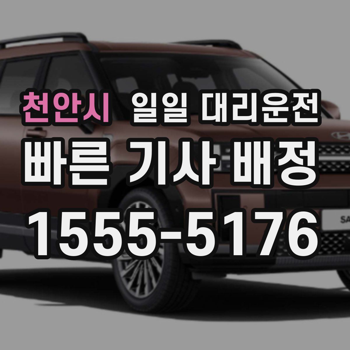 천안시 일일 대리운전