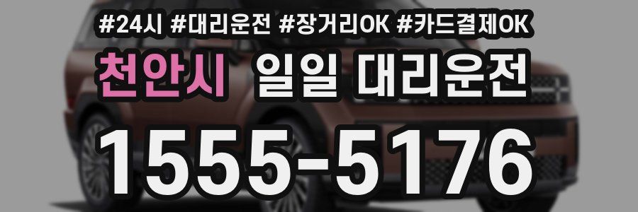 천안시 일일 대리운전