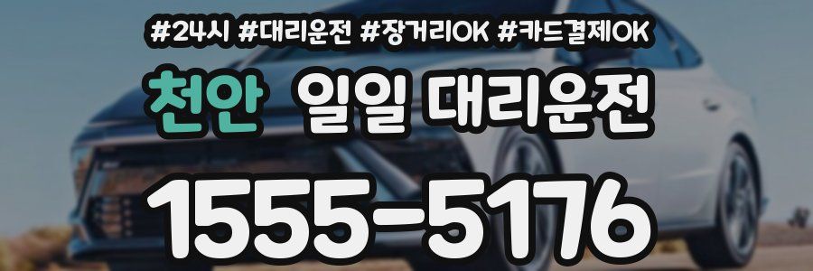 천안 일일 대리운전