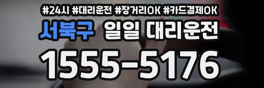 서북구 일일 대리운전