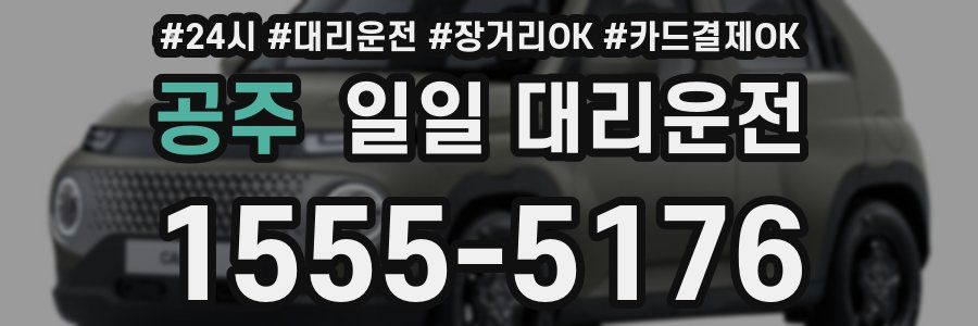 공주 일일 대리운전