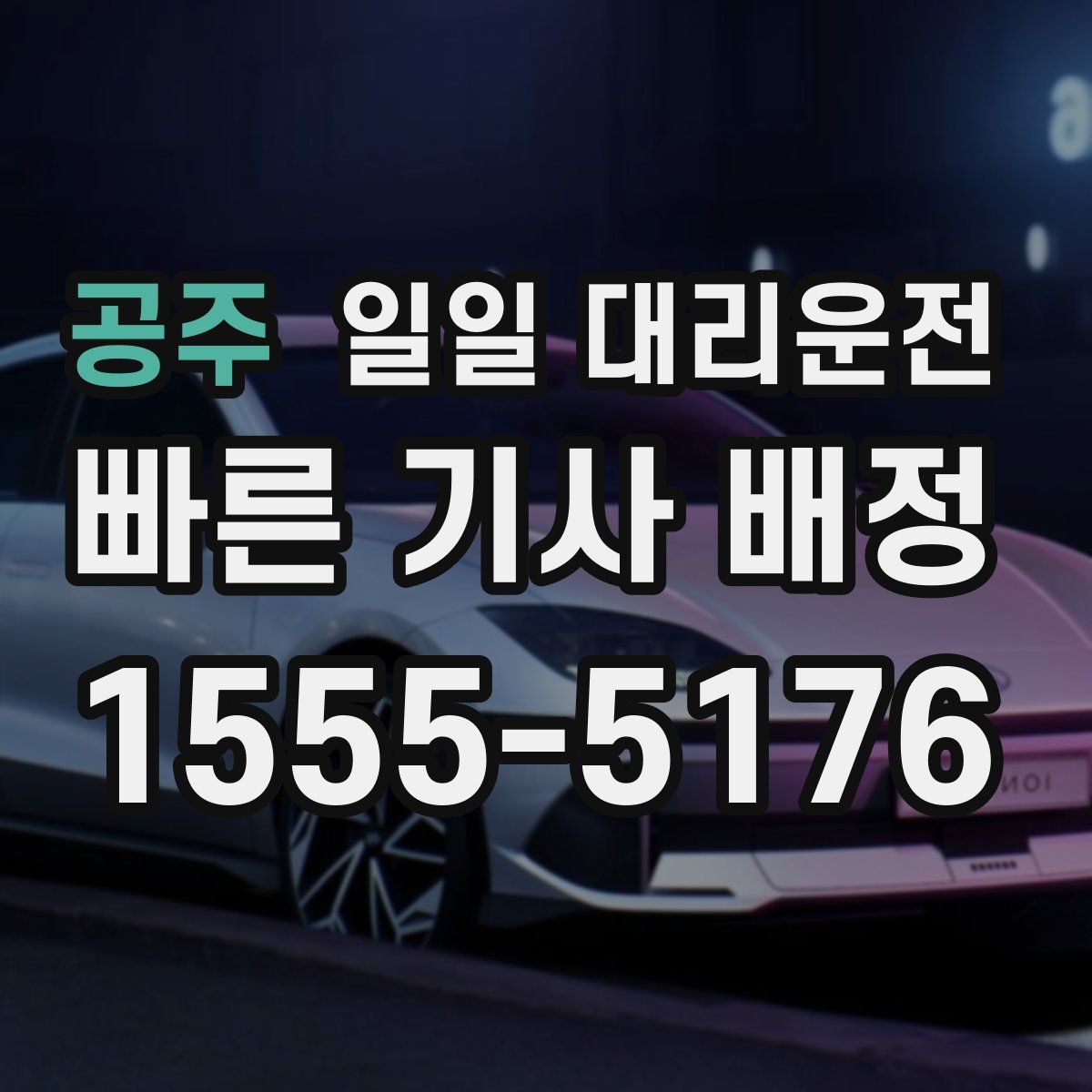 공주 일일 대리운전