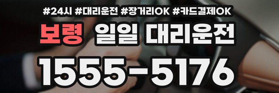 보령 일일 대리운전
