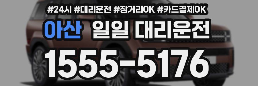 아산 일일 대리운전