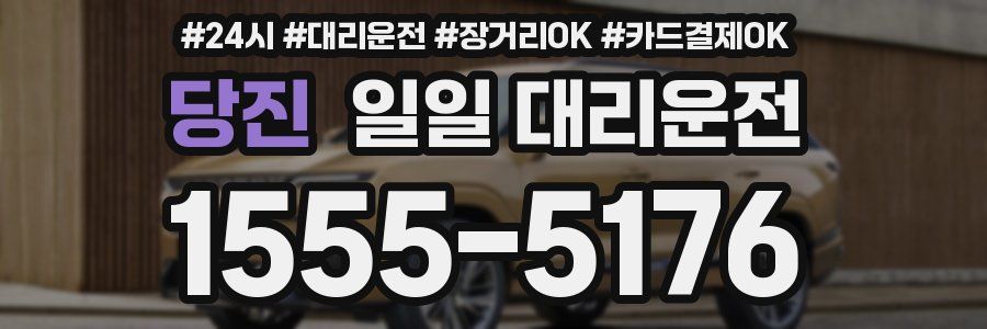 당진 일일 대리운전