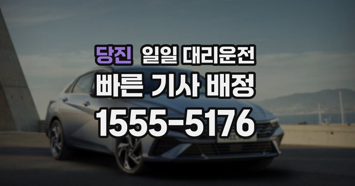 당진 일일 대리운전