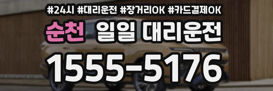 순천 일일 대리운전