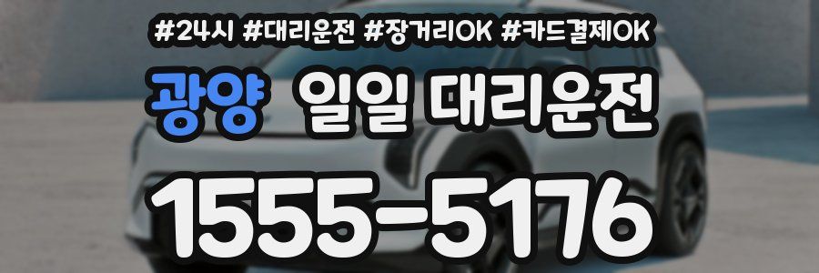 광양 일일 대리운전