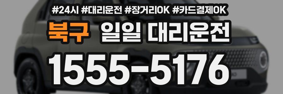 북구 일일 대리운전