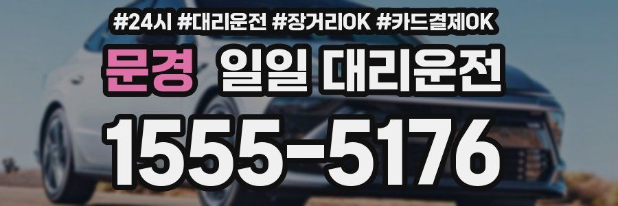 문경 일일 대리운전