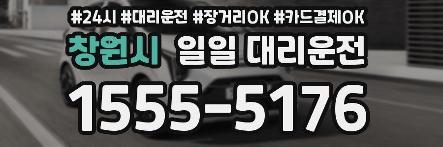 창원시 일일 대리운전