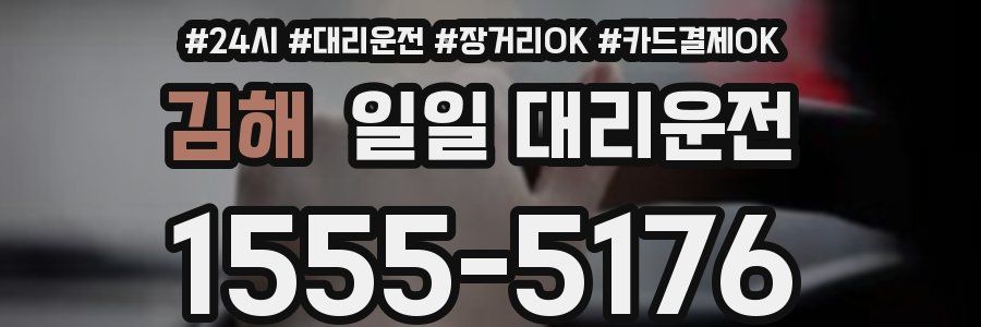 김해 일일 대리운전