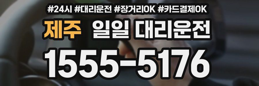제주 일일 대리운전