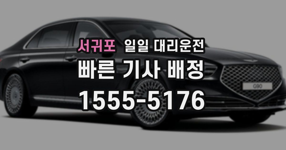 서귀포 일일 대리운전