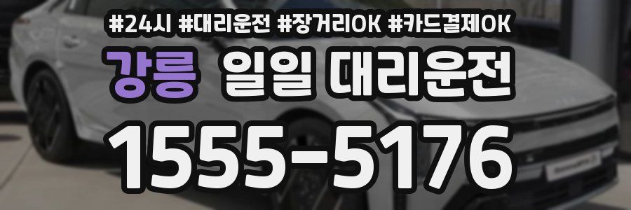 강릉 일일 대리운전