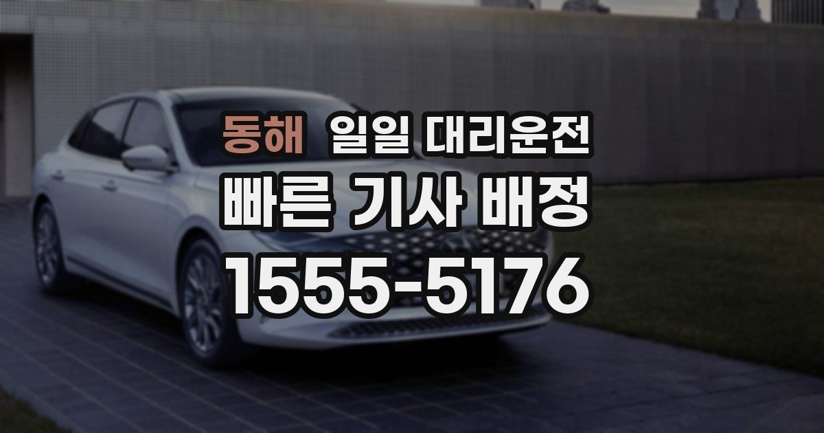 동해 일일 대리운전