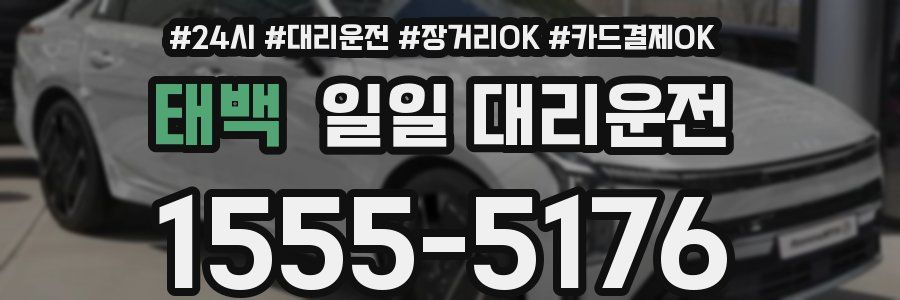 태백 일일 대리운전
