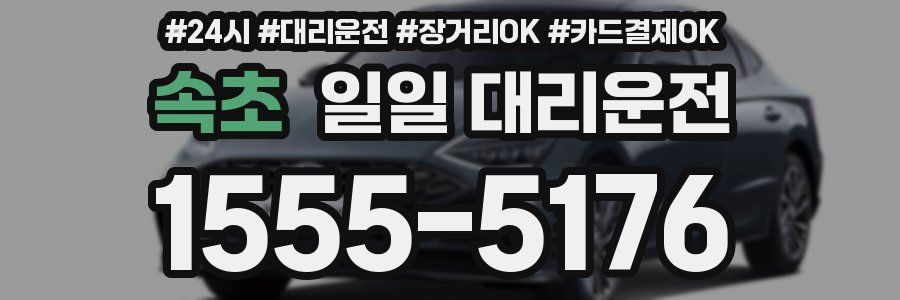 속초 일일 대리운전