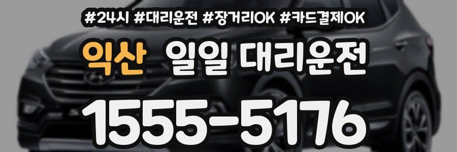 익산 일일 대리운전