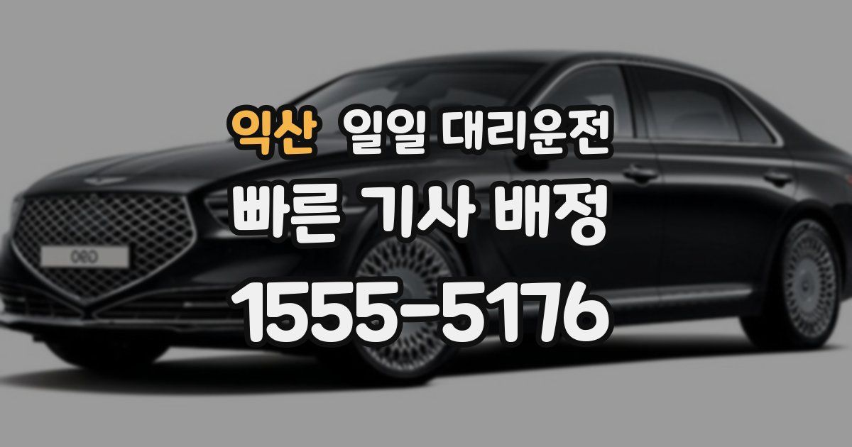익산 일일 대리운전