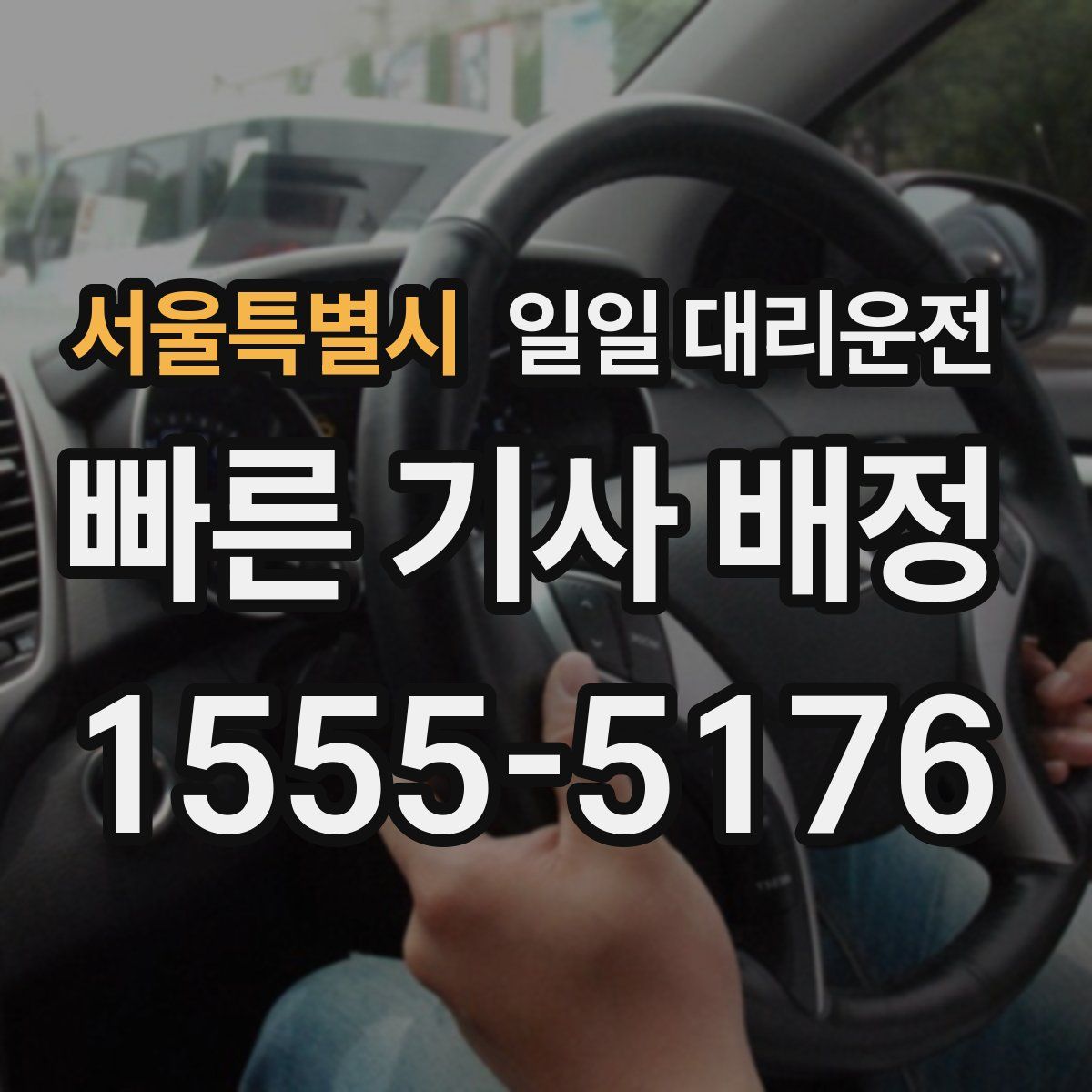 서울특별시 일일 대리운전