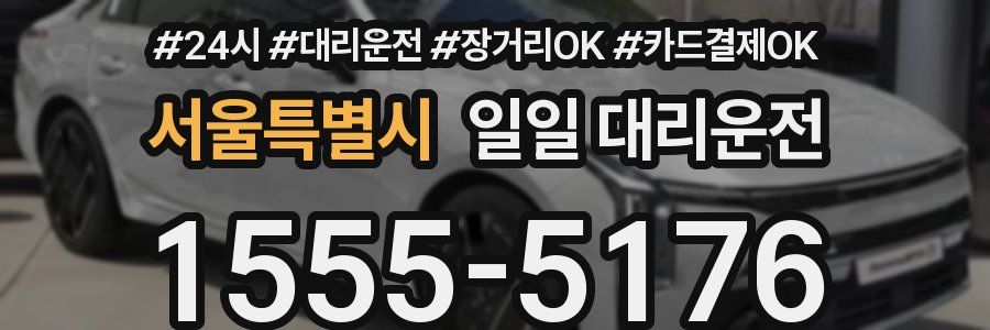 서울특별시 일일 대리운전