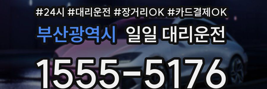 부산광역시 일일 대리운전