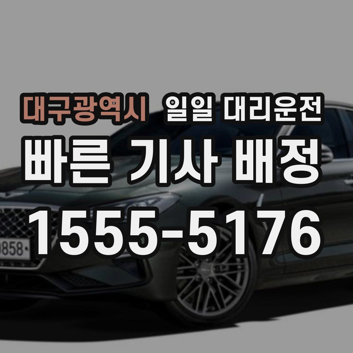 대구광역시 일일 대리운전