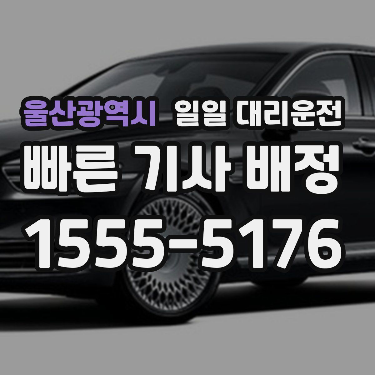울산광역시 일일 대리운전