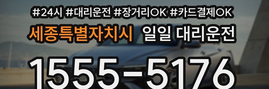 세종특별자치시 일일 대리운전