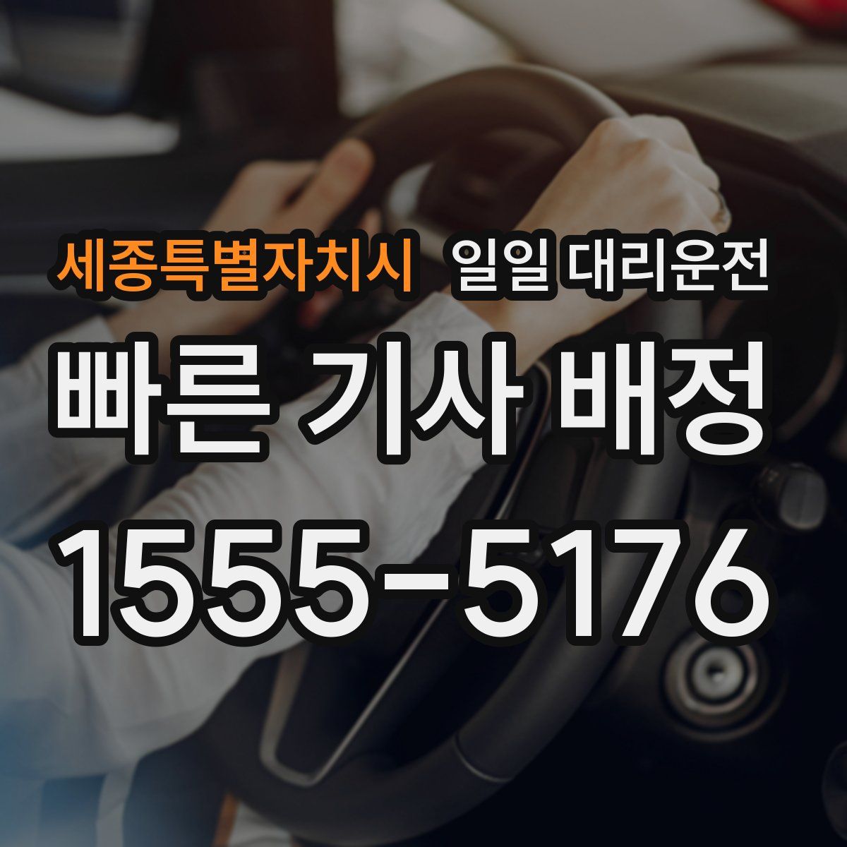 세종특별자치시 일일 대리운전